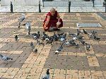 Monk feeding the birds, Yongdusan Park, Busan