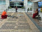 Monk feeding the birds, Yongdusan Park, Busan