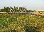 Bicycle trail to Suncheonman Bay reed field / wetland, Korea
