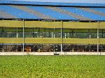 Cow barn, Yeongsan River Trail, Korea