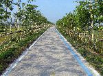 Yeongsan River Trail, Korea