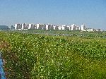 Apartment buildings, Gwanju, Korea