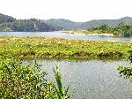 Idyllic view, Yeongsan River Trail, Korea