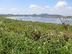 Idyllic view, Yeongsan River Trail, Korea