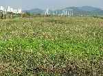 Mokpo Ogam Wetland Ecological Park, Yeongsan River Trail, Korea