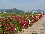 Hampyeong River Trail, Korea