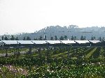 Solar Voltaic System, Hampyeong, Korea