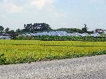 Solar Voltaic Array, Korea