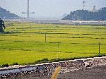 new bridge, Beopseong-myeon, Korea (2013)