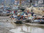 Fishing boats, Beopseong-myeon, Korea