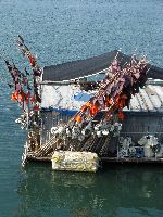 Boats, Bieunghang (port), Gunsan, Korea
