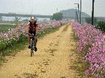  Geumgang Bicycle Path, Korea