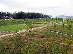 Geumgang Bicycle Path, Buyeo, Korea