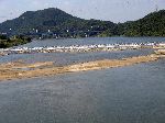 Mihocheon (river), near Sejong, from trail to Cheongju, Korea