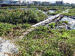 Yudeungcheon Bicycle Trail, Daejeon, Korea