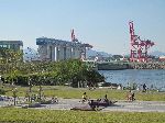 Park and park activities along Ara Canal, Korea