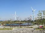 Park near visitors center for Ara Canal, Korea