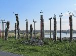 Sotae, wooden birds, Hangang Trail, Korea
