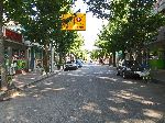 Tree-lined street, Buron, Korea