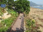Nakdong River Trail, south of Mungyeong, Korea