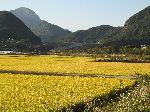 terminus of the Yeongsan River Trail is at Damyangho, Korea