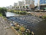 Gwangju River Trail, Korea