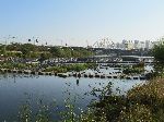 Gwangju River Trail, Korea