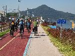 Group bicycle ride on Yeongsan River Trail, Ichang-dong, Naju, Korea