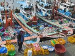 Fishing boat, Seoldohang Port, Bongnam-ri, Yeomsan-myeon, Korea