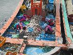 Fishing boat, Seoldohang Port, Bongnam-ri, Yeomsan-myeon, Korea