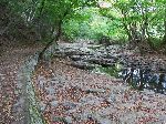 Stream, Seonunsa (temple), Korea