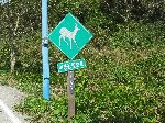 Deer sign, Byeonsan, Buan, Korea