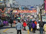 Main street market, Ganggyeong, Korea