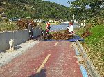 Preparing harvest on trail, Geumgang Bicycle Path, Korea