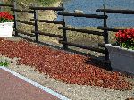 Chestnut husk, Gwangyang Province, Korea