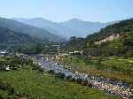 Tea farms near Ssanggye-sa (temple), Gwangyang Province, Korea