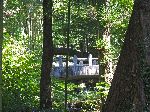 Bamboo forest and bridges, Ssanggye-sa (temple), Korea