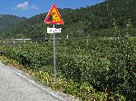 Seomjingang Trail, Gwangyang County, Korea