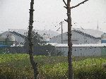Solar voltaic panels covering a barn, Korea