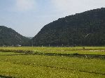 Rice farm, Seomjingang Trail. Korea