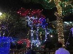 Lighted trees near Chungjangno, Gwangju, Korea