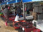 Fish market, Seoldohang Port, Bongnam-ri, Yeomsan-myeon, Korea