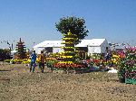 Preparations for the Fermented Fish Festival, Ganggyeong, Korea