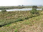 Farmland, Mihocheon, Ocheon Trail, Cheonju, Korea