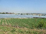 Farmland, Mihocheon, Ocheon Trail, Cheonju, Korea