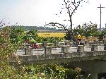 Bridge, farmland, Ocheon Trail, Cheonju, Korea