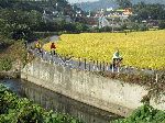 Farmland, Ocheon Trail, Jeungpyeong, Korea