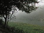 Morning mist, Seoluncheon, Chungju, Korea