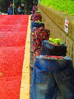 Pants Planters, Gamcheon Cultural Village, Busan