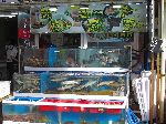 Live fish, Jagalchi Mraket, Busan